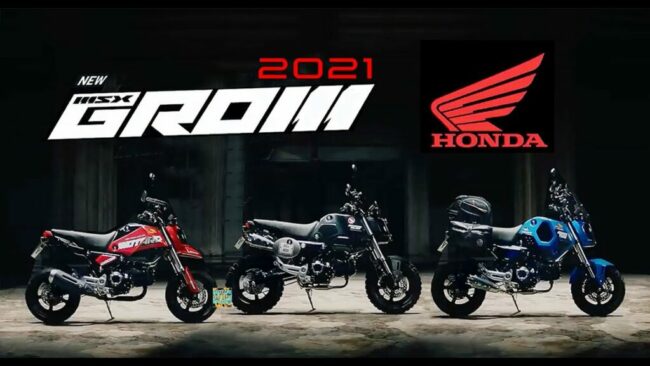 Honda Gromm